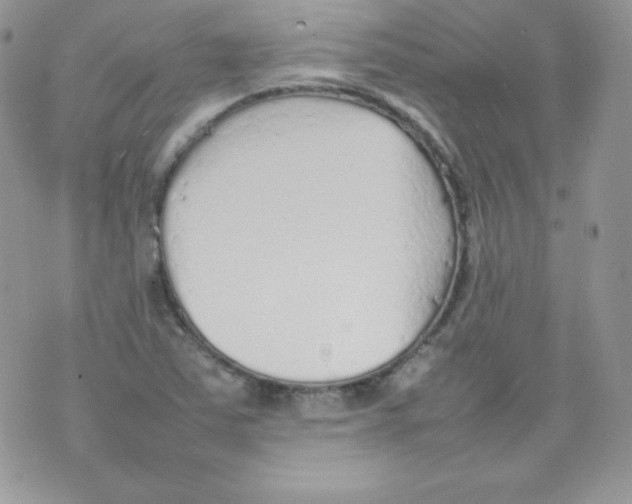 X0000074931363200609291746