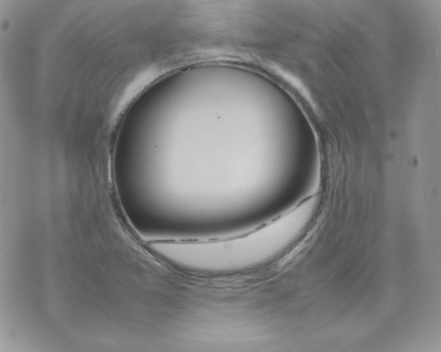 X0000074931365200609291746