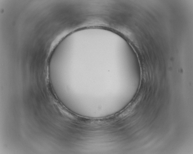 X0000074931366200609291746