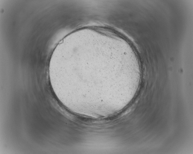 X0000074931367200609291746