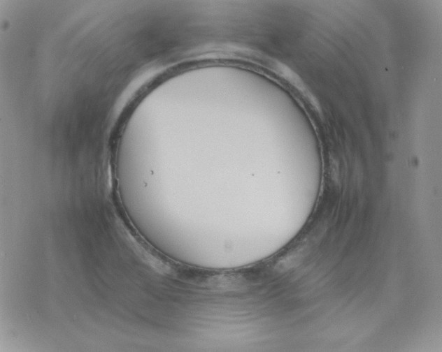 X0000074931368200609291746