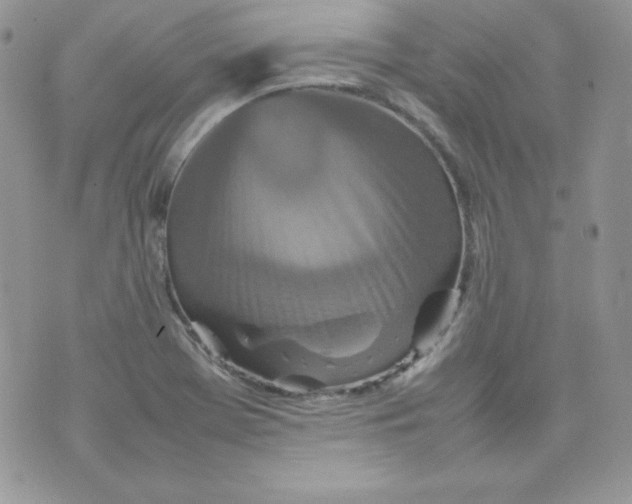 X0000074931369200609291746