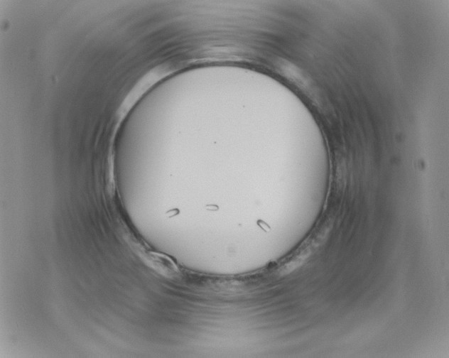 X0000074931370200609291746