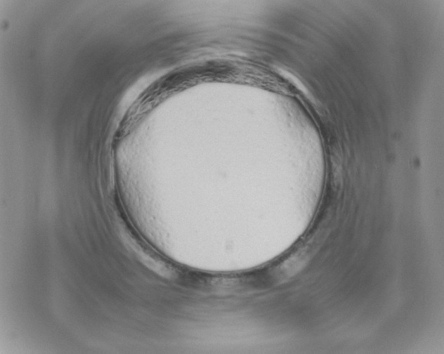 X0000074931371200609291746