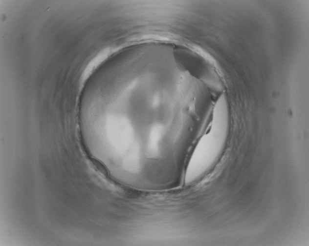 X0000074931373200609291746