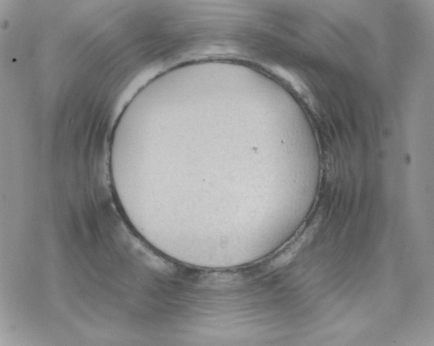 X0000074931374200609291746