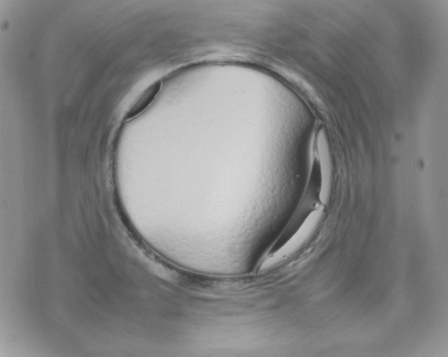 X0000074931375200609291746