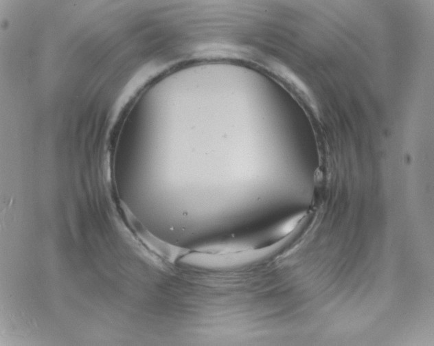 X0000074931376200609291746