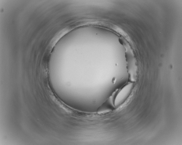 X0000074931377200609291746