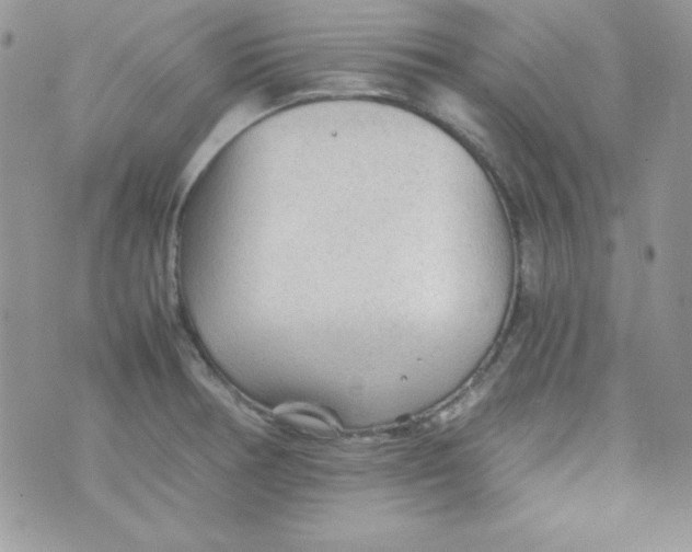 X0000074931378200609291746