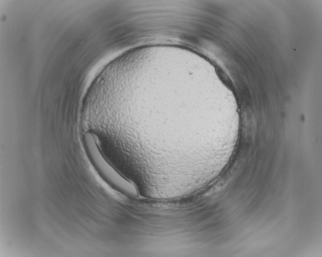 X0000074931379200609291746