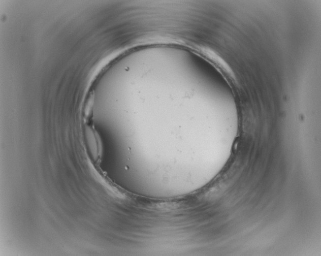 X0000074931380200609291746