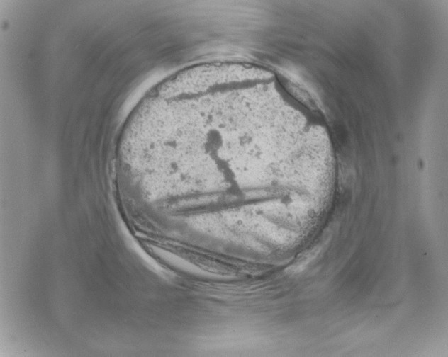 X0000074931383200609291746