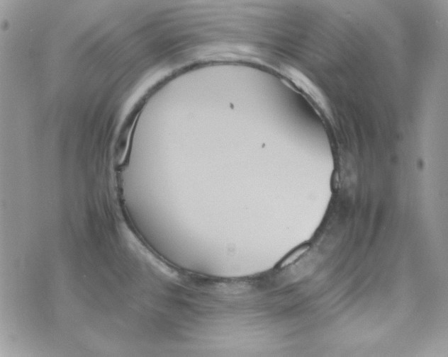 X0000074931384200609291746