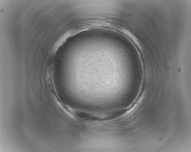 X0000074931385200609291746