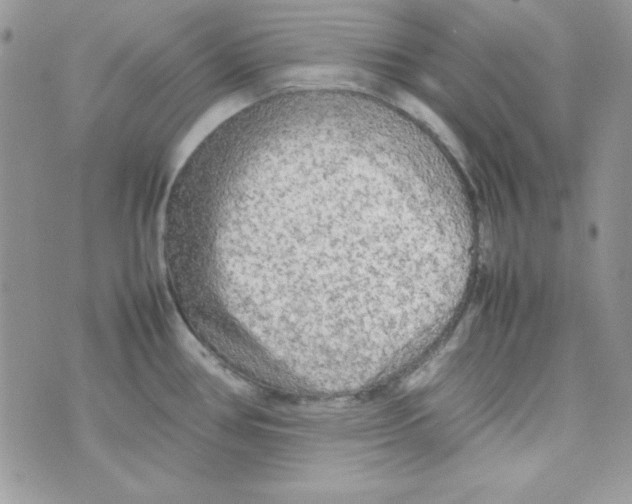 X0000074931386200609291746