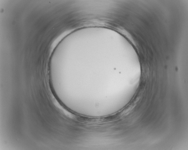 X0000074931387200609291746