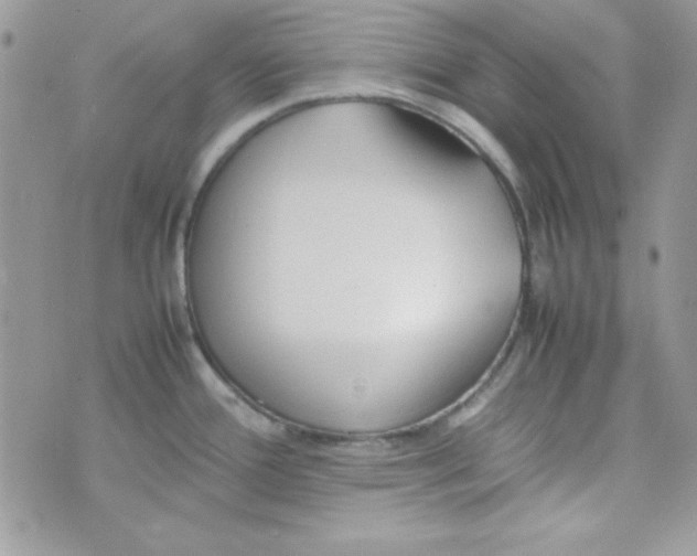 X0000074931388200609291746