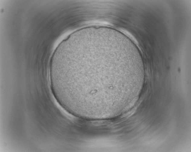 X0000074931391200609291746