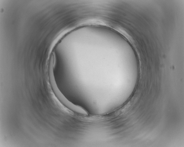 X0000074931392200609291746