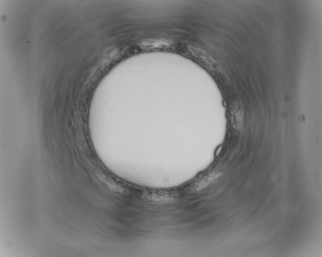 X0000074931393200609291745