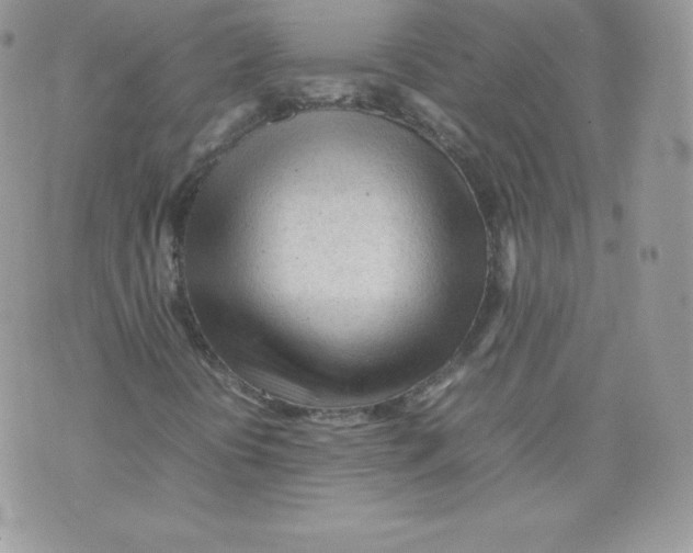 X0000074931394200609291745