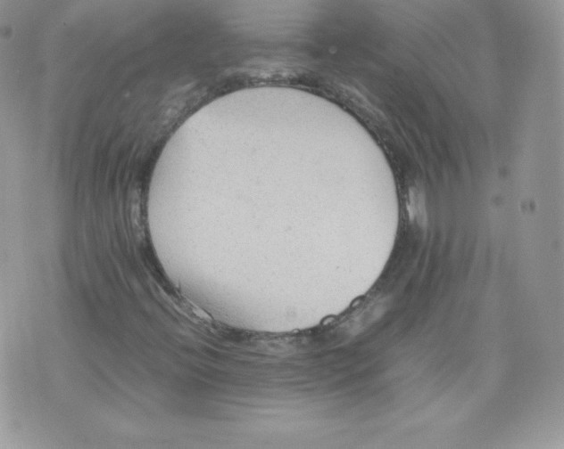 X0000074931396200609291745