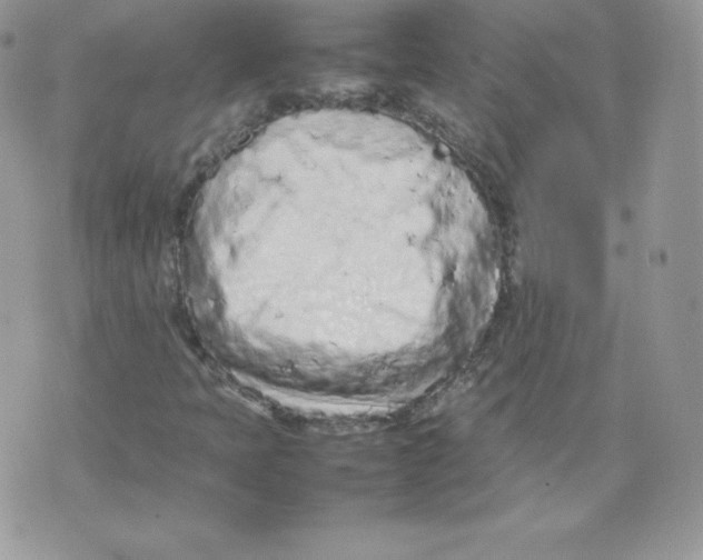 X0000074931397200609291745