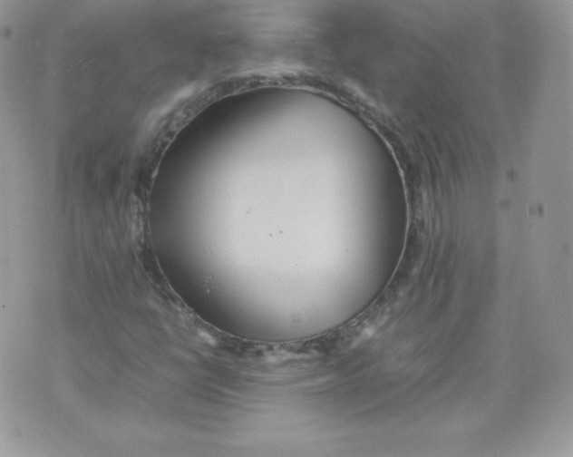 X0000074931398200609291745