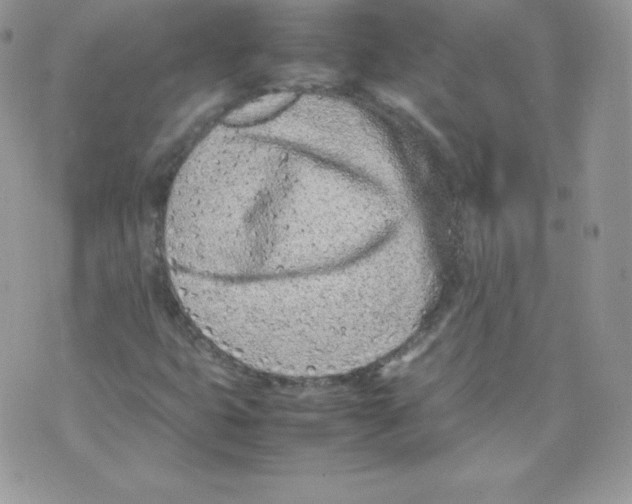 X0000074931399200609291745