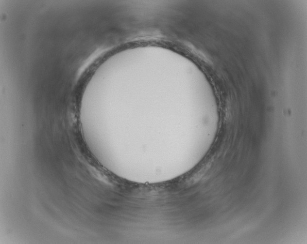 X0000074931400200609291745