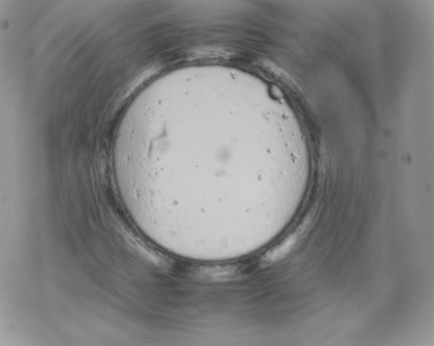 X0000074931401200609291745