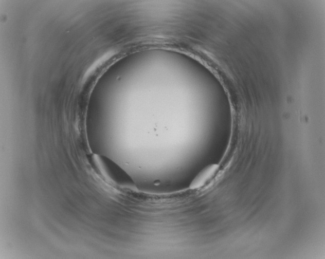 X0000074931402200609291745