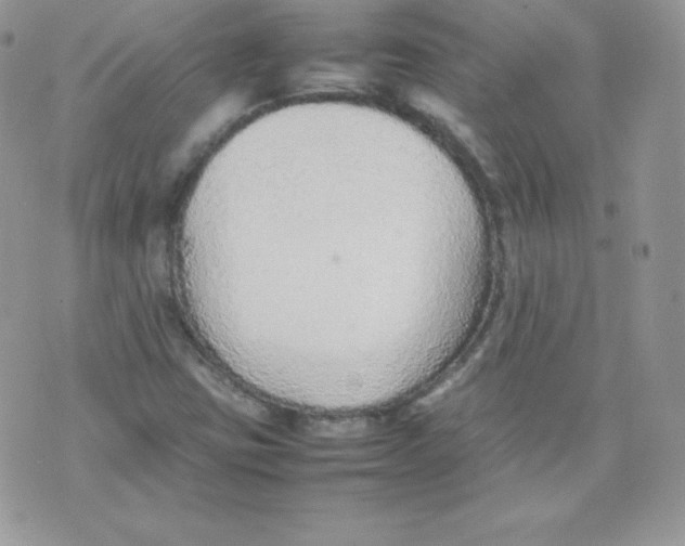 X0000074931403200609291745