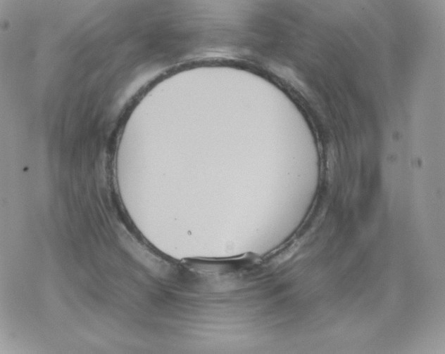 X0000074931404200609291745