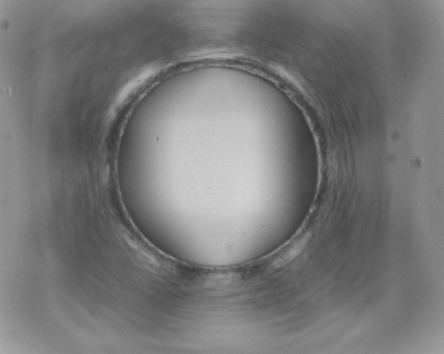 X0000074931406200609291745