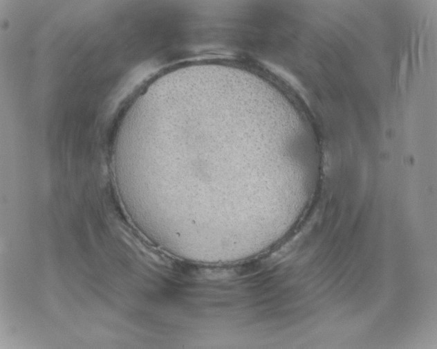 X0000074931407200609291745