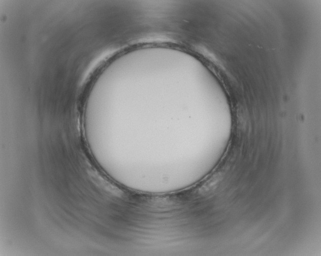 X0000074931408200609291745