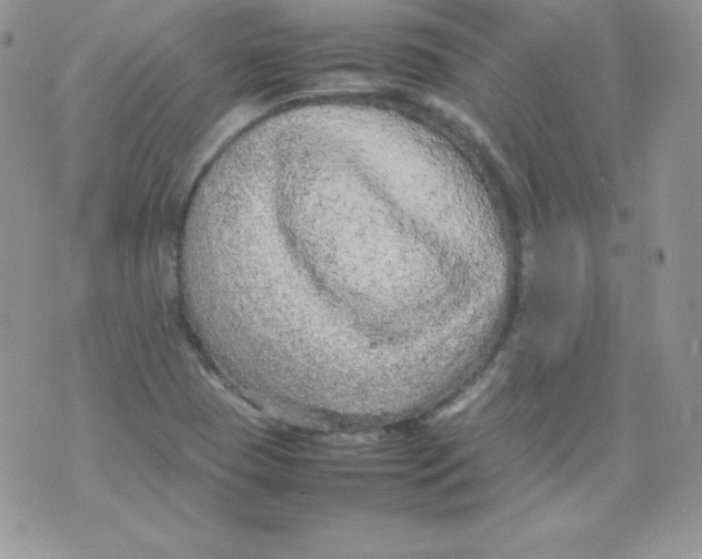 X0000074931409200609291745