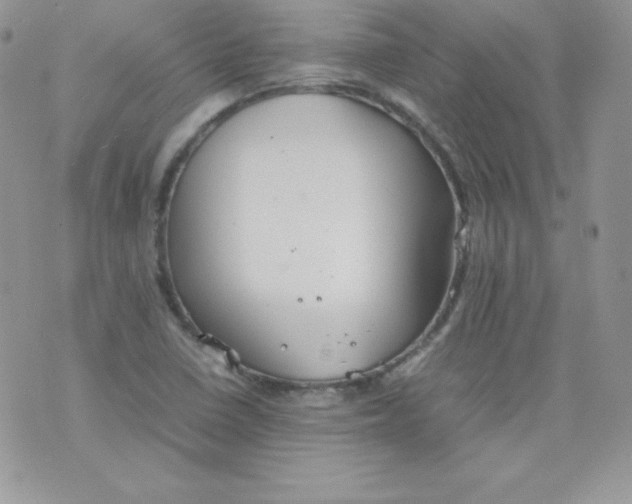 X0000074931410200609291745