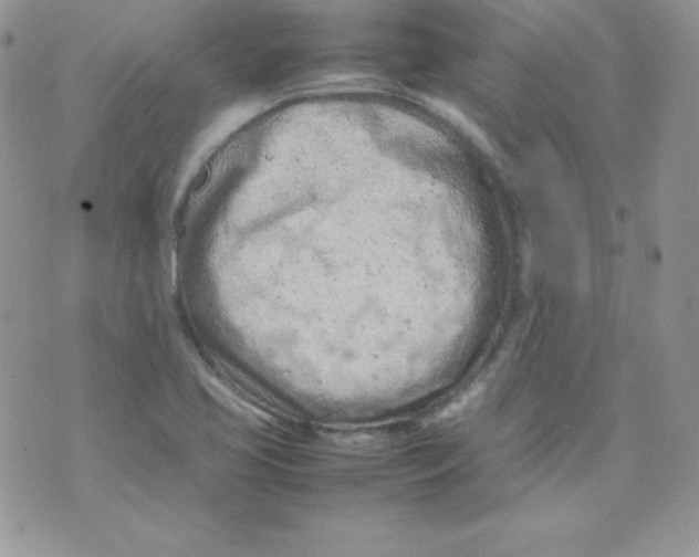 X0000074931413200609291745