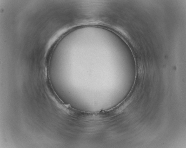 X0000074931414200609291745