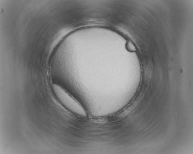 X0000074931415200609291745