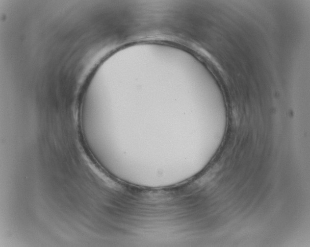 X0000074931416200609291746