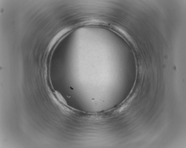 X0000074931418200609291746