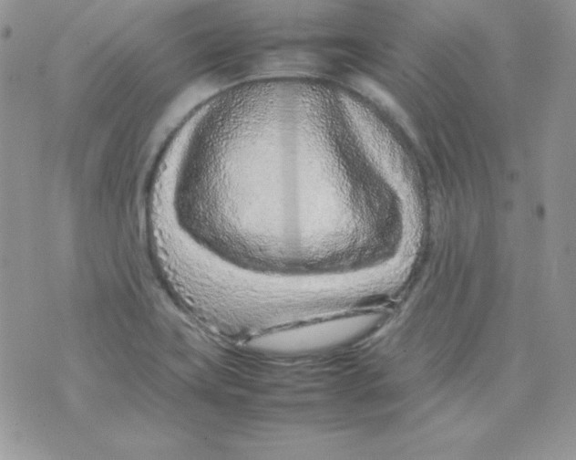 X0000074931419200609291746