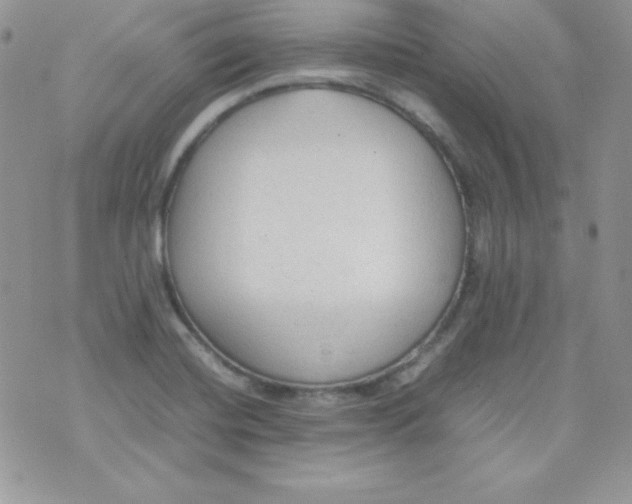 X0000074931420200609291746