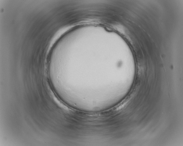 X0000074931421200609291746