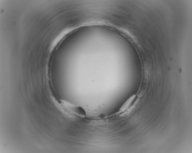 X0000074931422200609291746