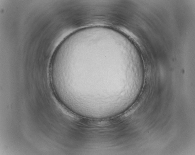 X0000074931423200609291746